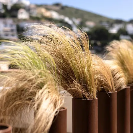 Miquel L' Escala