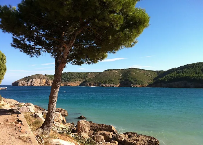 Miquel 3* L' Escala
