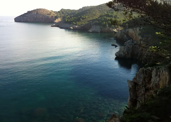 Miquel 3*